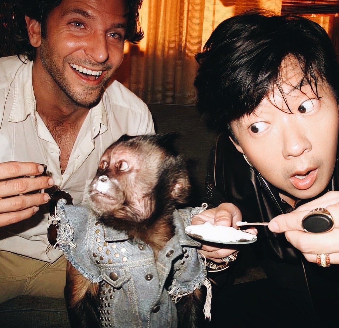 Professional software developer working on projects